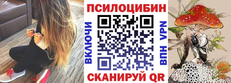 купить закладку  Сухой Лог  Галлюциногенные грибы Cubensis 